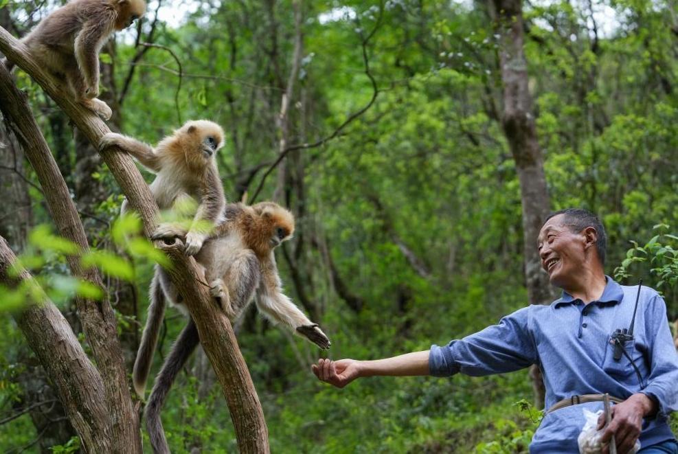 首次立法！國(guó)家公園筑起“法治屏障”